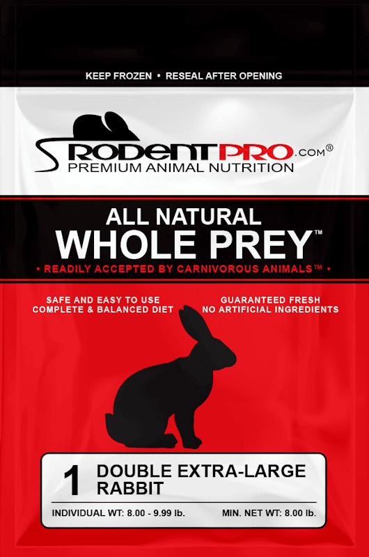 Double Extra-Large Rabbit.webp